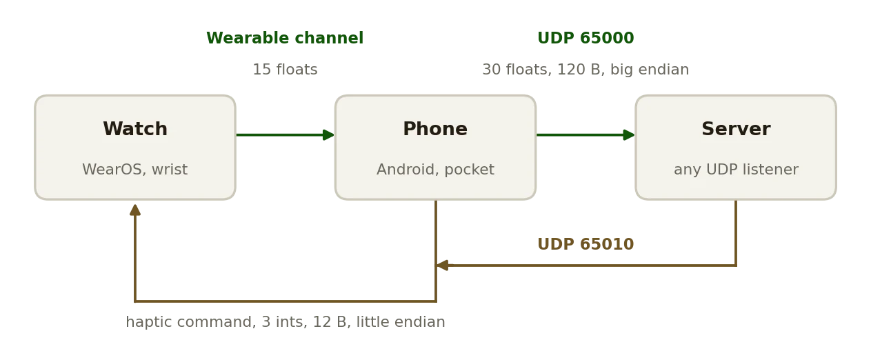 Sensors flow from the watch through the phone to a UDP listener, and a haptic command returns through the phone to the wrist