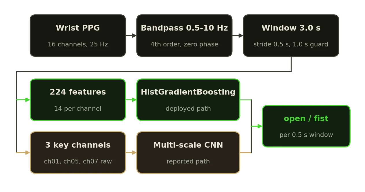 The pipeline from raw channels through filtering, windowing and 224 features to the classifier