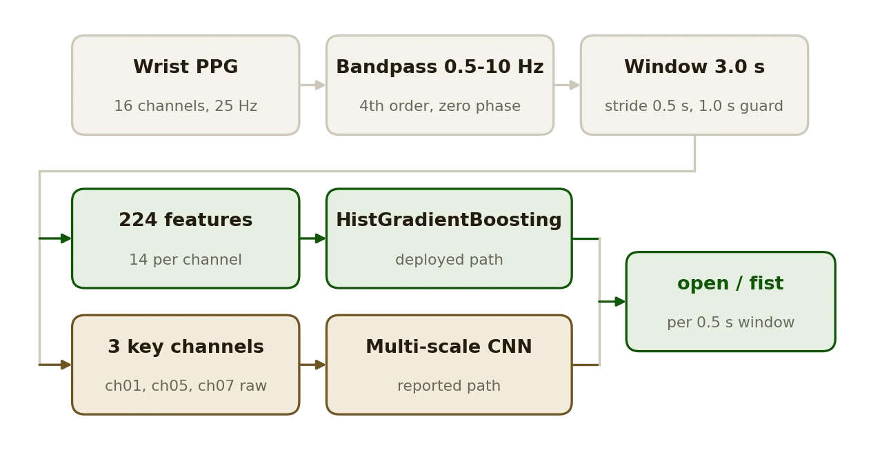 The pipeline from raw channels through filtering, windowing and 224 features to the classifier
